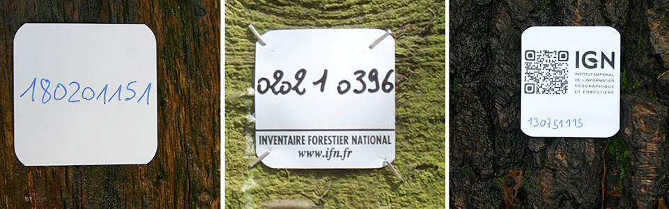 Inventaire forestier