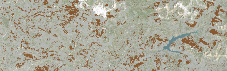 Visuel_Forêts subnaturelles