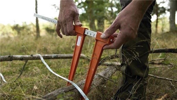 IGNF_Visuel_inventaire-forestier