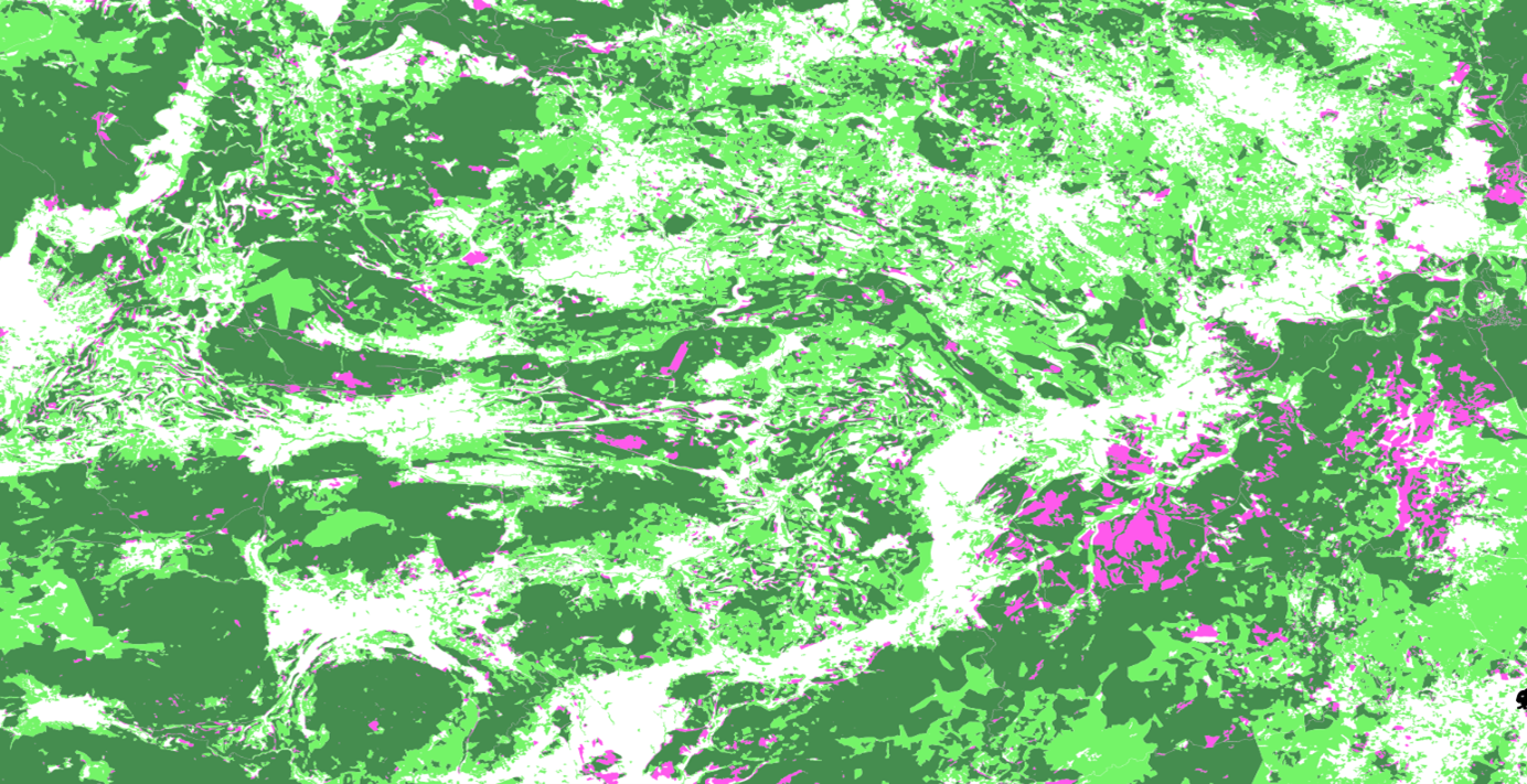 IGNF_forêts Subnaturelles_1