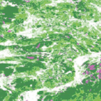 De nouvelles bases de données au service de la détection des forêts subnaturelles